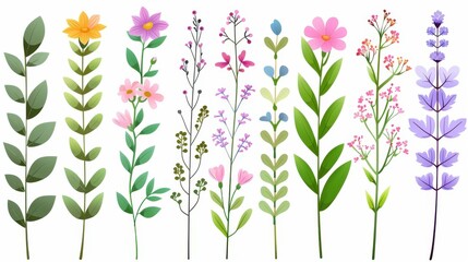 A vibrant collection of wildflowers and herbs, illustrated in flat, handdrawn style on a clean white backdrop.