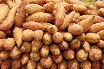 Vegetables and fruits are sold at a bazaar in Israel.