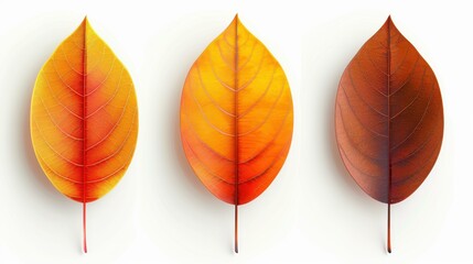 Obraz premium Vibrant 3D illustration of autumn leaves on a white background.