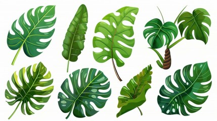 Vibrant watercolor vector set with tropical leaves, plants, and palms on a white background.