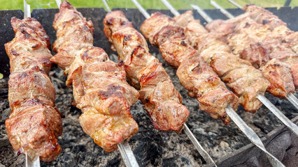 juicy kebab on skewers on the grill