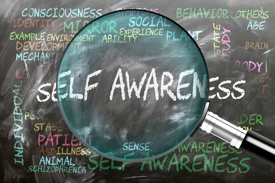 Self Awareness being studied, examined - under close inspection. Most important subjects and ideas closely related to self awareness. ,3d illustration