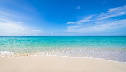 Beautiful tropical beach with palm trees, sunset beach seascape, design template for travel banner.
