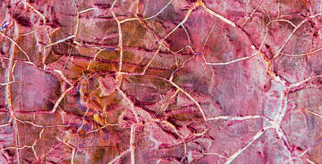 Technicolor Wonderland Revealed: Step into a Quirky and Playful World of Abstract Geometric Shapes and Vibrant Colors
