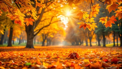 Fototapeta premium Sun shining through canopy of trees with golden autumn leaves