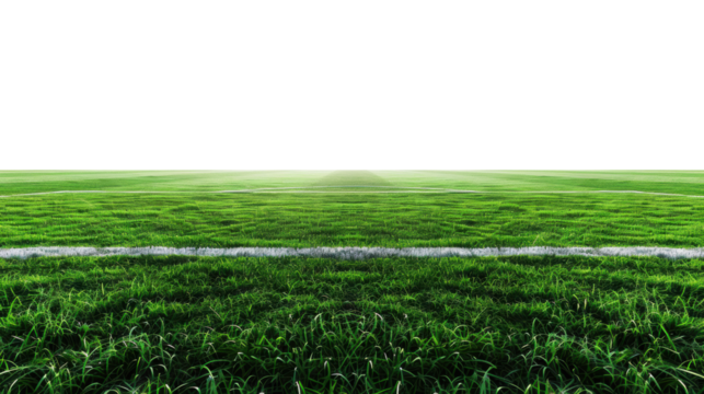 Green grass field