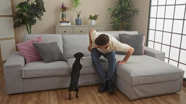 A young hispanic man playing with his teckel dog in a cozy living room, featuring a modern sofa with colorful cushions and indoor plants.