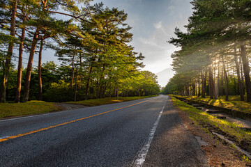 静岡県の駿東郡小山町須走にある「ふじあざみライン」は冨士浅間神社と富士山の須走口五合目を結ぶ道路,
