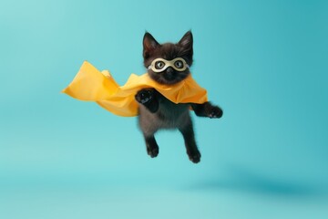 Fototapeta premium Heroic Feline: Black Cat in Yellow Cape