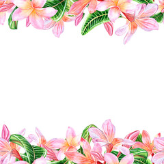 Tropical pink plumeria flowers with leaves.Seamless frame, banner isolated on white background. Hand drawn watercolor illustration. For design, invitations, cards, decoration
