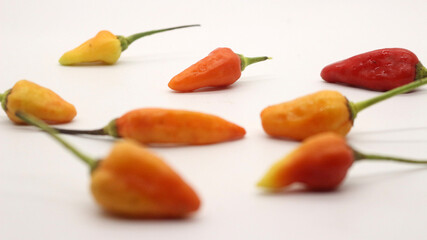 Chili on a white background