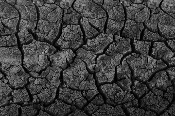 Cracked dried black earth texture with deep fissures surface. dry earth soil pattern with cracks. Texture of dry cracked earth. desert background. symbol of hot climate and drought. global warming