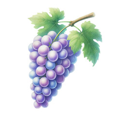 Obraz premium Illustration of a fresh, vibrant grape cluster with green leaves, perfect for food, nature, and wine-related designs.