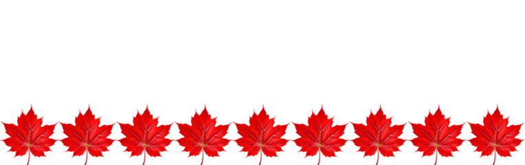 A row of red maple leaves arranged horizontally against a black background.
