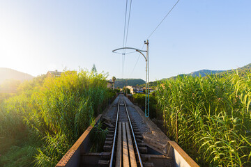 railway in the forest