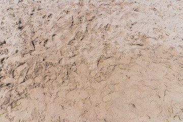 sand background