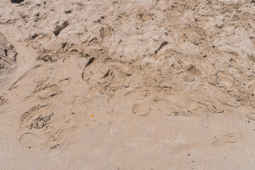 texture of sand
