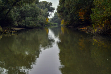 waterfall in the forest