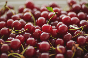 background of freshly picked, fragrant, ripe sweet cherries. Top view of cherry fruits. Close up of ripe organic cherries background and texture. 