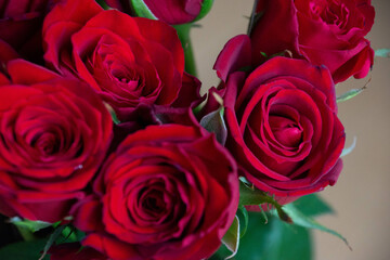 赤い薔薇