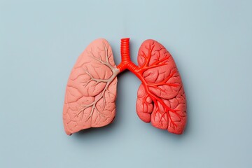 Illustration of human lungs, one half healthy and one half damaged by smoke, representing the effects of smoking and lung disease