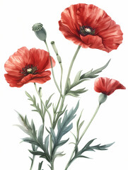 watercolor floral bouquet isolated on white background