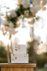 White wedding cake in 2 tiers on a white stand. The cake is decorated with chamomile flowers and green leaves. Cake on the street in the evening at sunset. Glare of the sun. Blurred background