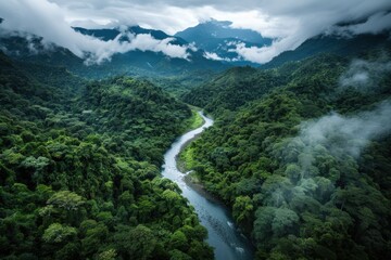 A stunning aerial view captures a winding river gracefully flowing through a dense, lush jungle, surrounded by emerald green foliage and distant mountain ranges under a cloudy sky.