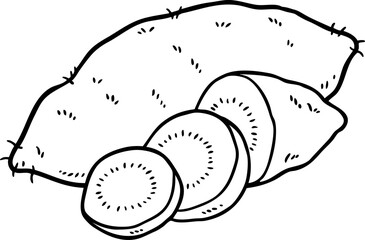 Vector Cartoon Golden Sweet Potato Line Art