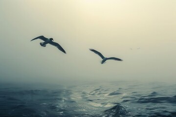 Two birds in flight above the sea