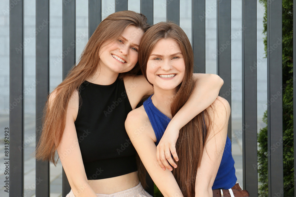 Canvas Prints Two beautiful twin sisters in near metal fence outdoors