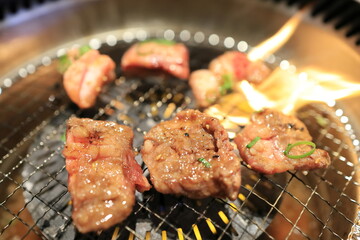 黒毛和牛焼肉（中落ちカルビ）