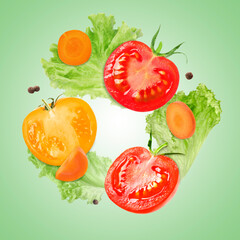 Cut tomatoes, carrot, lettuce and allspice in air on green gradient background
