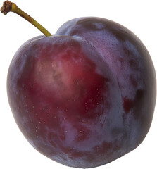 A ripe, purple plum with a smooth skin and a short stem.
