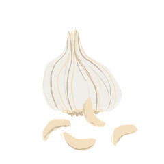 Illustration of bulb of garlic with four peeled garlic cloves in front, isolated