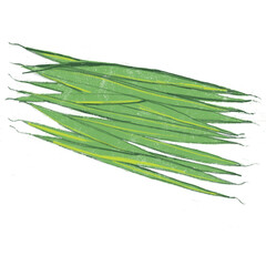 Illustration of pile of green beans, isolated