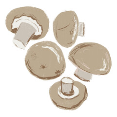 Illustration of five chestnut mushrooms, isolated on clear background