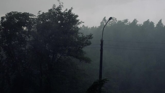 Heavy rain and strong winds knock down trees. Rain, stormy winds