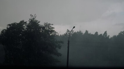 Heavy rain and strong winds knock down trees. Rain, stormy winds