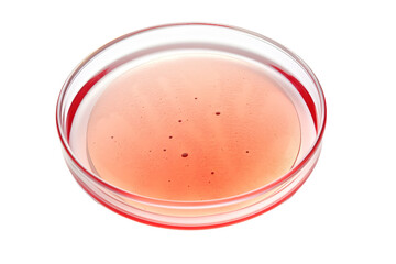 A Single Petri Dish Filled With Pink Agar, Ready for Scientific Exploration on a Clear PNG or White Background.