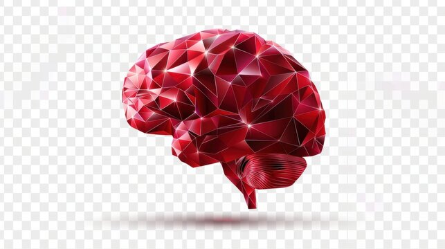 Low poly brain illustration red low poly human brain abstract anatomy organ colorful brain isolated on transparent background