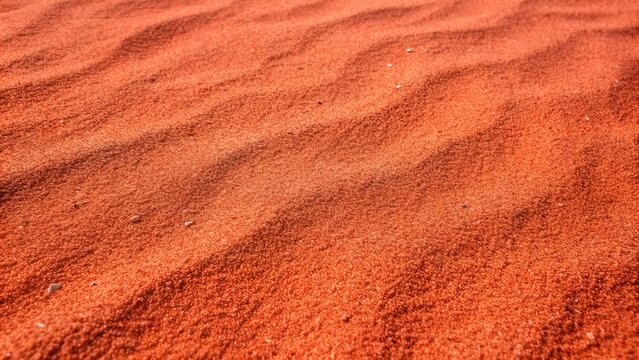 Red sand dune in the Sahara Desert, Morocco, Africa, close-up