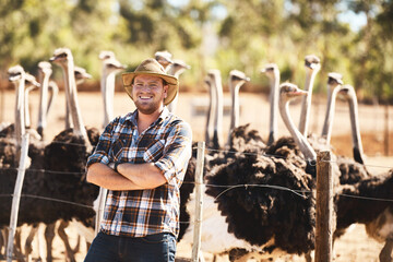 Nature, man and ostrich on farm with portrait for agriculture, sustainability or wildlife conservation in countryside. Animal, bird and person for breeding, livestock and environment in Australia