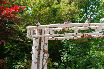 Naklejka premium birch wood wedding or ceremonial arch outdoors