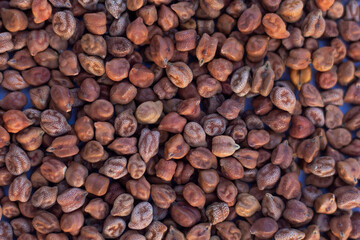 Huge variety of dried lentils ,legumes and cereals shot from above on white background