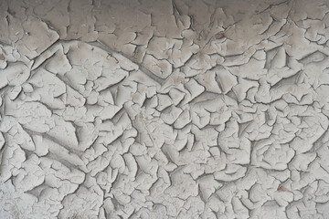 dried sediment with mud cracks
