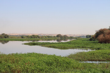 landscape with river Nile in Aswan, Egypt 