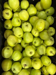 box of freshly picked green apples