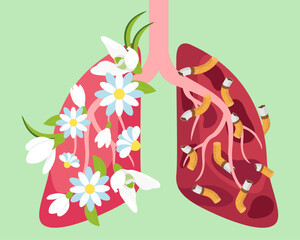 A posture about the harmfulness of smoking. Healthy lungs with flowers and sick lungs with cigarettes. Vector illustration