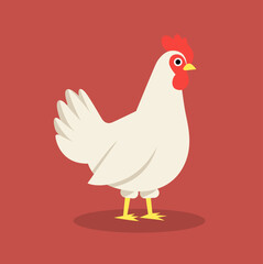 Chicken flat vector illustration. White chicken isolated on solid background. Minimalistic modern style